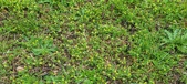 Enlarge photo 227