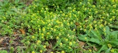 Enlarge photo 226