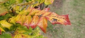 Enlarge photo 256