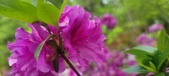 Enlarge photo 249