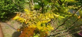 Enlarge photo 244