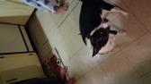 Enlarge MPEG4 27