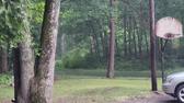 Enlarge MPEG4 14