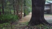 Enlarge MPEG4 42