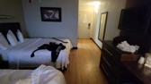 Enlarge MPEG4 309