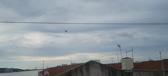 Enlarge MPEG4 241