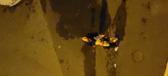 Enlarge MPEG4 283