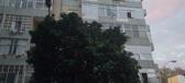 Enlarge MPEG4 275