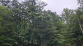 Enlarge MPEG4 10