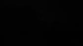 Enlarge MPEG4 27