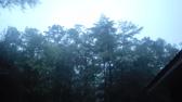 Enlarge MPEG4 48