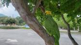 Enlarge MPEG4 53