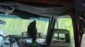 Enlarge MPEG4 6