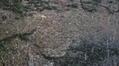 Enlarge MPEG4 2