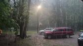 Rains