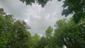 Enlarge MPEG4 7