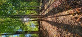 Enlarge photo 244