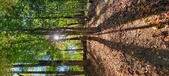 Enlarge photo 247