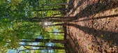 Enlarge photo 252