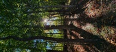 Enlarge photo 253