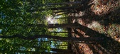 Enlarge photo 254