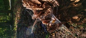 Enlarge photo 255