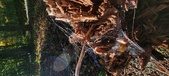 Enlarge photo 256