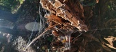 Enlarge photo 264