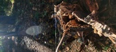 Enlarge photo 268