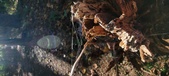 Enlarge photo 274