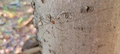 Enlarge photo 277