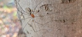 Enlarge photo 278