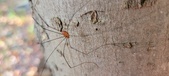 Enlarge photo 282