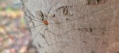 Enlarge photo 281