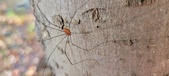Enlarge photo 280