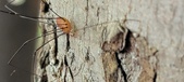 Enlarge photo 286