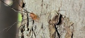 Enlarge photo 285