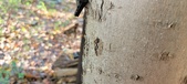 Enlarge photo 284