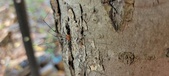 Enlarge photo 283