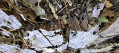 Enlarge photo 297