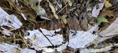Enlarge photo 295