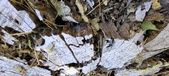 Enlarge photo 299