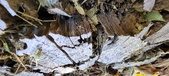 Enlarge photo 300