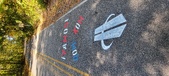 Enlarge photo 301