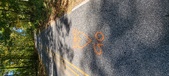 Enlarge photo 303