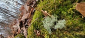 Enlarge photo 2