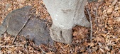 Enlarge photo 40
