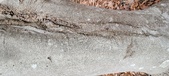 Enlarge photo 39