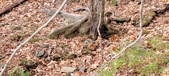 Enlarge photo 38