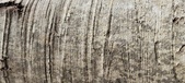 Enlarge photo 37